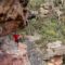 DrozPhoto_TNF100 Australia_9924